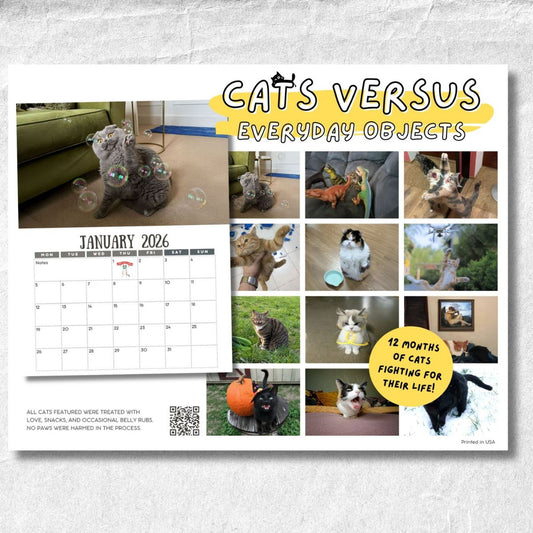 Cats Versus Everyday Objects 2026 Calendar