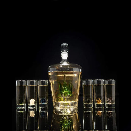 Tequila Decanter Tequila Glasses Set with Agave Decanter and 6 Agave Sipping Shot Glass