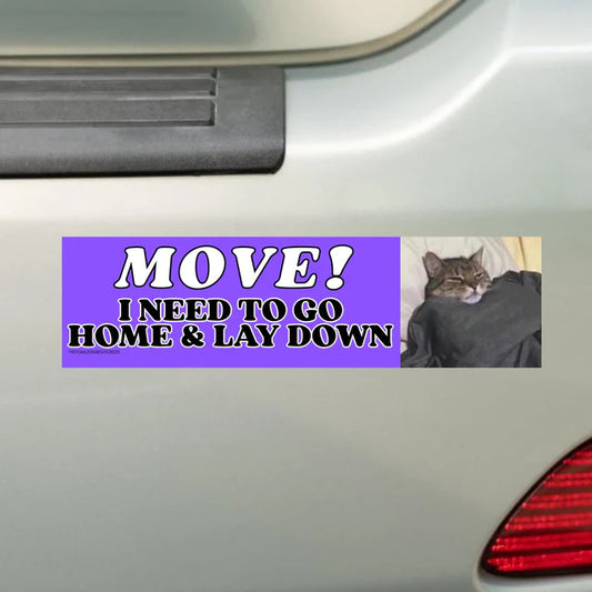 Move! I Need to Go Home and Lay Down Cat