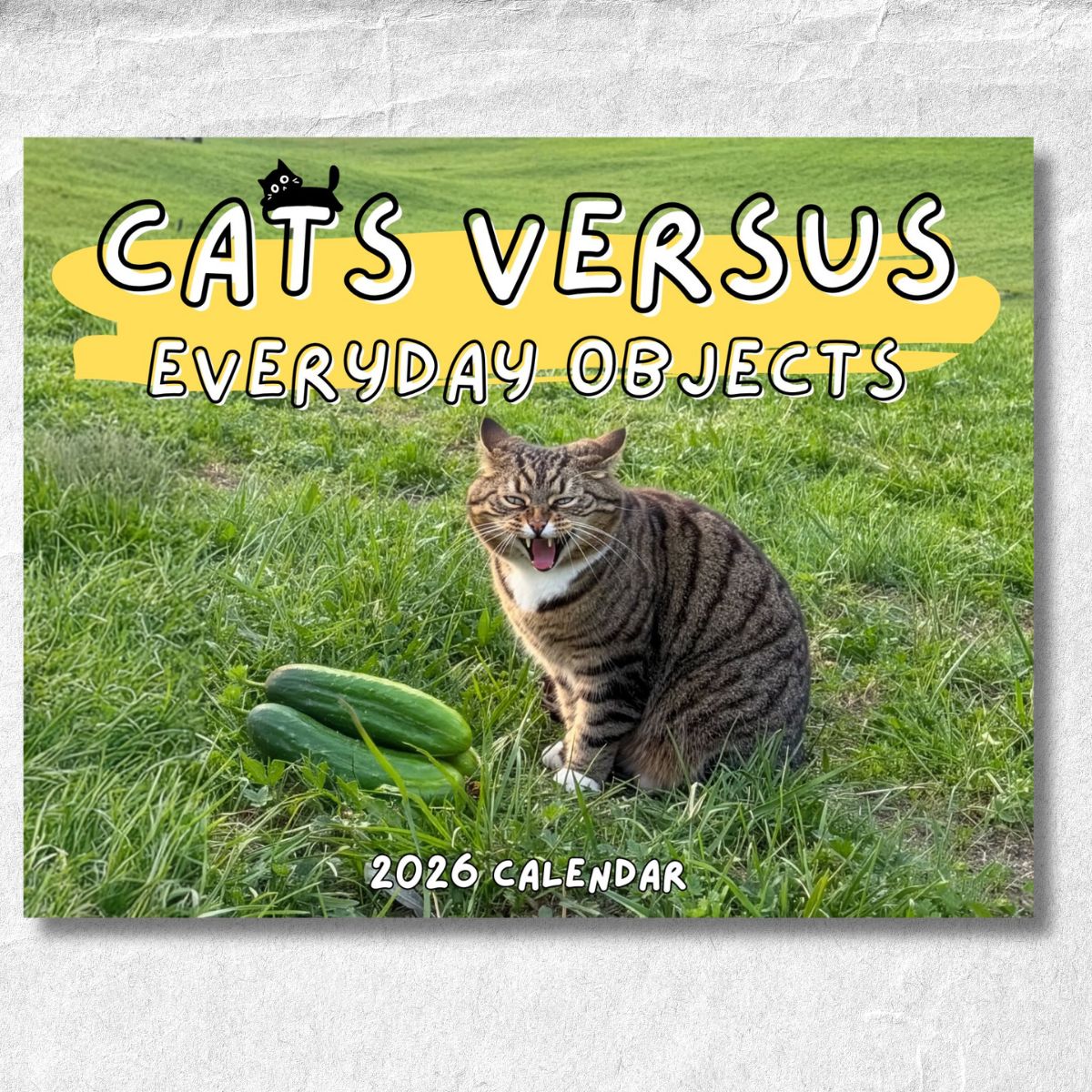 Cats Versus Everyday Objects 2026 Calendar