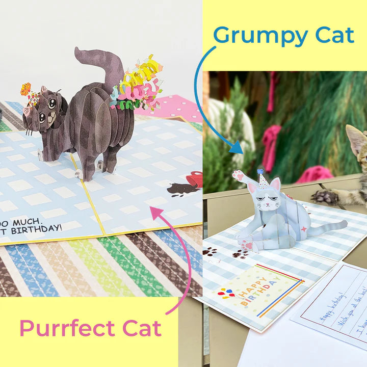 Purrfect Birthday Funny 3D Cat Greeting Card