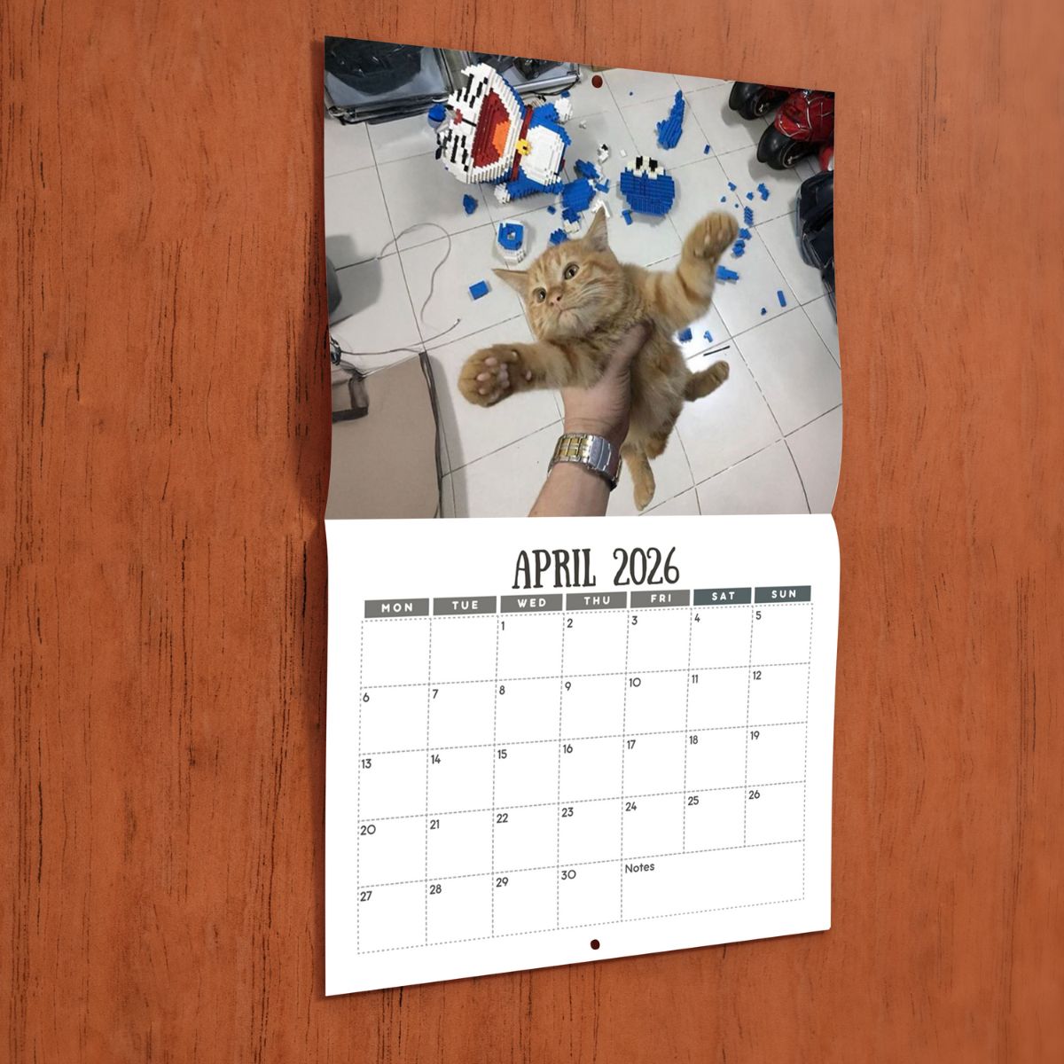 Cats Versus Everyday Objects 2026 Calendar
