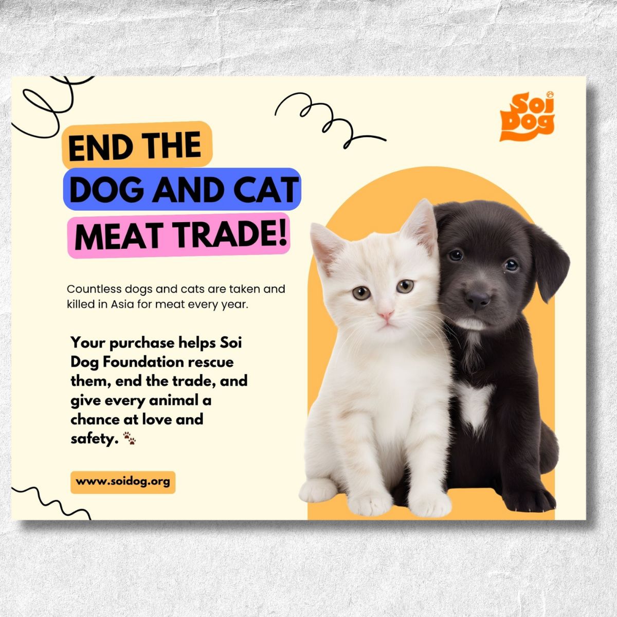 Cats Versus Everyday Objects 2026 Calendar