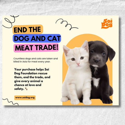 Cats Versus Everyday Objects 2026 Calendar