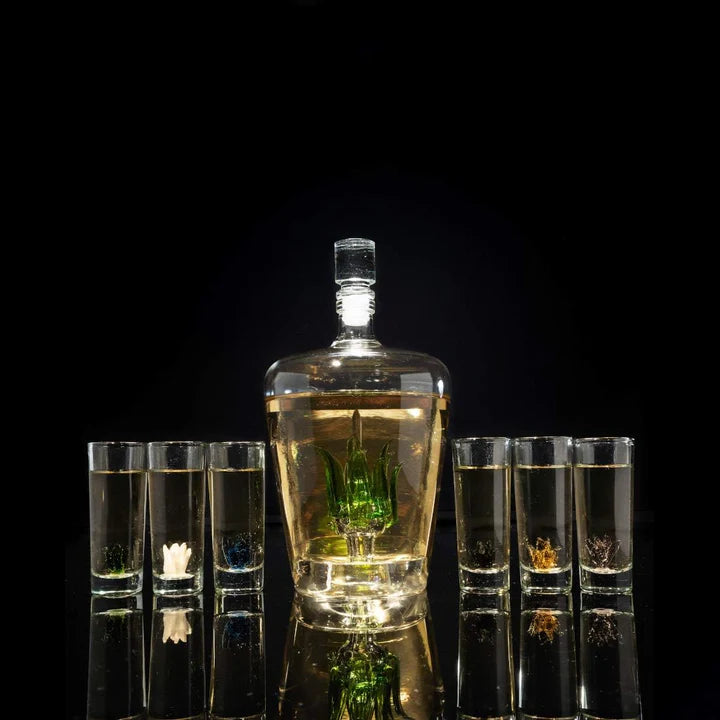 Tequila Decanter Tequila Glasses Set with Agave Decanter and 6 Agave Sipping Shot Glass