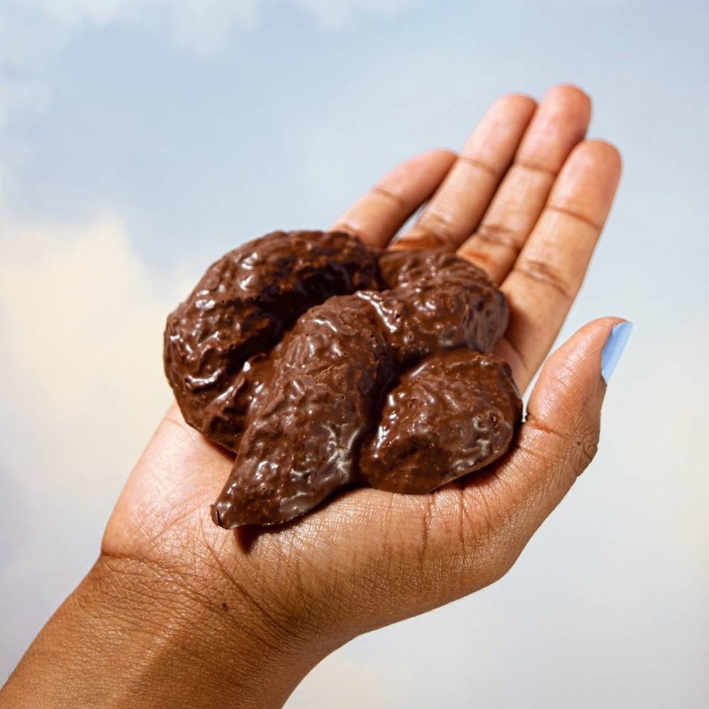 Eat Shit - Chocolate Shit in a Box