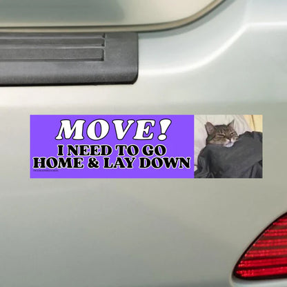 Move! I Need to Go Home and Lay Down Cat